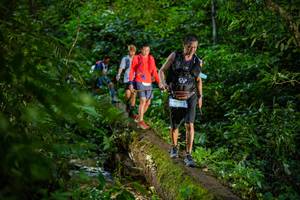 BIB: 
                            <button type="button" onclick="openModal(18923217)" class="btn btn-primary btn-sm float-right btn-popup" data-toggle="modal" data-target=".modal-high-quality">
                        <i class="fas fa-shopping-cart"></i> Add to Cart
                    </button>
                                            <button type="button" onclick="isThisMe(18923217, true)" class="btn btn-success btn-sm float-right btn-popup btn-isme hidden" data-toggle="tooltip" data-placement="bottom" title="นี่คือรูปของคุณใช่ไหม คลิกที่นี่เพื่อเอาเข้าอัลบั้ม">
                        <i class="fas fa-plus"></i> Add to album
                    </button>
                    <button type="button" onclick="isThisMe(18923217, false)" class="btn btn-warning btn-sm float-right btn-popup btn-isnotme hidden">
                        <i class="fas fa-ban"></i> Remove from album
                    </button>